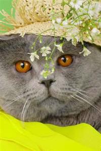 Website Password Organizer, British Shorthair Cat Wearing a Hat: Password/Login/Website Keeper/Organizer Never Worry about Forgetting Your Website Pas