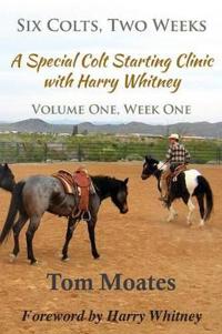Six Colts, Two Weeks, a Special Colt Starting Clinic with Harry Whitney