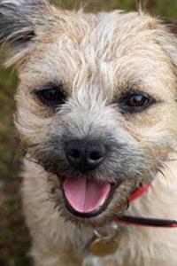 Border Terrier, for the Love of Dogs: Blank 150 Page Lined Journal for Your Thoughts, Ideas, and Inspiration