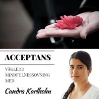 Mindfulness Acceptans