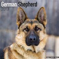 German Shepherd Calendar 2017
