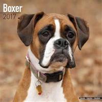 Boxer Calendar 2017
