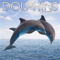 Dolphins Calendar 2017