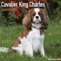 Cavalier King Charles Spaniel Calendar 2017