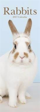 Rabbits Slim Calendar 2017