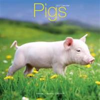Pigs Calendar 2017