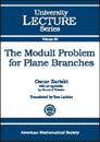 The Moduli Problem for Plane Branches