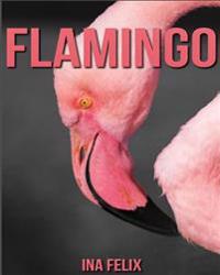 Flamingo: Children Book of Fun Facts & Amazing Photos on Animals in Nature - A Wonderful Flamingo Book for Kids Aged 3-7