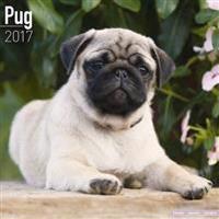Pug Calendar 2017
