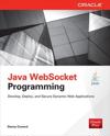 Java WebSocket Programming
