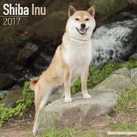 Shiba Inu Calendar 2017