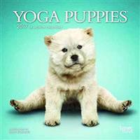 Yoga Puppies 2017 Calendar