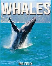 Whales: Children Book of Fun Facts & Amazing Photos on Animals in Nature - A Wonderful Whales Book for Kids Aged 3-7