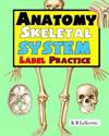 Anatomy Skeletal System Label Practice
