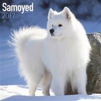 Samoyed Calendar 2017
