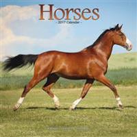 Horses Calendar 2017