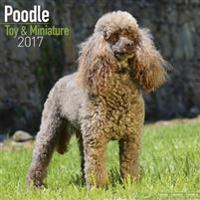 Poodle ToyMiniature Calendar 2017