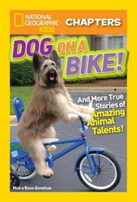 Dog on a Bike!