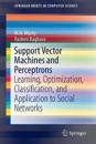 Support Vector Machines and Perceptrons