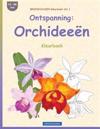 BROCKHAUSEN Kleurboek Vol. 1 - Ontspanning: Orchideeën: Kleurboek