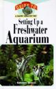 Setting Up a Freshwater Aquarium