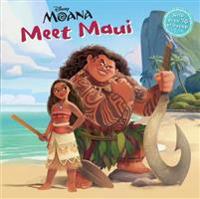 Meet Maui (Disney Moana)