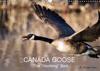 Canada Goose / UK-Version 2017