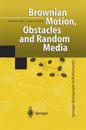 Brownian Motion, Obstacles and Random Media