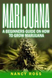 Marijuana: A Beginners Guide on How to Grow Marijuana