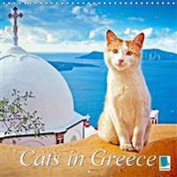 Cats in Greece (Wall Calendar 2017 300 × 300 mm Square)