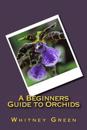 A Beginners Guide to Orchids