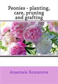 Peonies - Planting, Care, Pruning and Grafting