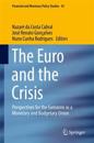 The Euro and the Crisis