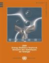 Energy statistics yearbook 2009