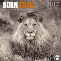 Born Free 2017 Calendar