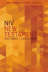 NIV Outreach New Testament