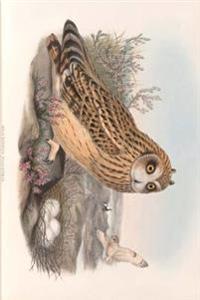 Short Eared Owl, John Gould Birds of Great Britain: Blank 150 Page Lined Journal for Your Thoughts, Ideas, and Inspiration
