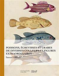 Poissons Ecrevisses Et Crabes