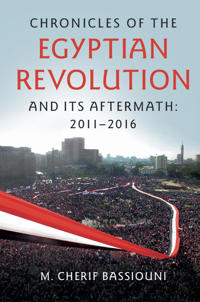 Chronicles of the Egyptian Revolution and Its Aftermath