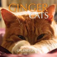 Ginger Cats Calendar 2017: 16 Month Calendar