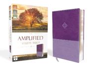 Amplified Study Bible, Imitation Leather, Purple