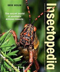 Insectopedia: The Secret World of Southern African Insects