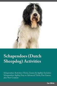 Schapendoes Dutch Sheepdog Activities Schapendoes Activities (Tricks, Games & Agility) Includes