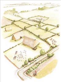 The Rural Settlement of Roman Britain