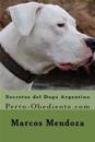 Secretos del Dogo Argentino: Perro-Obediente.com