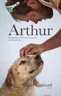 Arthur - Gatuhunden som lämnade djungeln och hittade hem