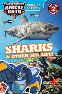 Transformers Rescue Bots: Training Academy: Sharks & Other Sea Life!