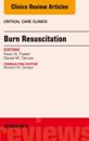 Burn Resuscitation, An Issue of Critical Care Clinics