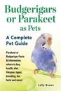 Budgerigars or Parakeet as Pets: Parakeet or Budgerigar Facts & Information, Where to Buy, Health, Diet, Lifespan, Types, Breeding, Fun Facts and More