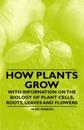 How Plants Grow - With Information on the Biology of Plant Cells, Roots, Leaves and Flowers